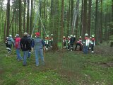 Maibaum_2016 (18).JPG